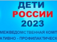 Второй этап межведомственной комплексной оперативно-профилактической операции «Дети России - 2023» 