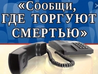 С 11 ноября стартует Общероссийская антинаркотическая акция «Сообщи, где торгуют смертью»